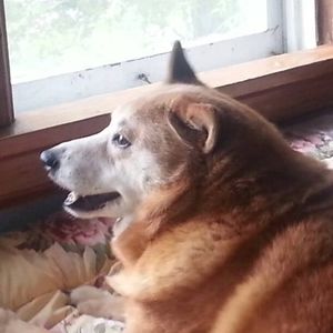 Meet your Posher, Peggy